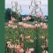 Lilium 'Ariadne', downfacing lilies in peachy-pink