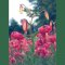 Lilium 'Eurydice', downfacing pinky red lilies