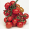 Christmas Grape tomato, cluster of red round small fruits