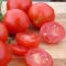 Glacier tomato, round red fruits