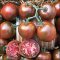 Nyagous tomato, dark red to purple medium tomatoes