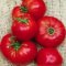 Omar's Lebanese tomato, bright dark red, classic heirloom look