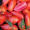 Opalka tomato, long red fruits
