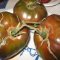 Paul Robeson tomato, very dark red to brown, large fruits