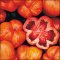 Striped Cavern tomato, hollow likea pepper, red with yellow stripes