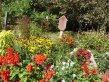 Mix of red and yellow flowers with a bird house in the midst