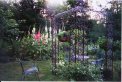 Iron garden gazebo surrounded by multi-colored hollyhocks.